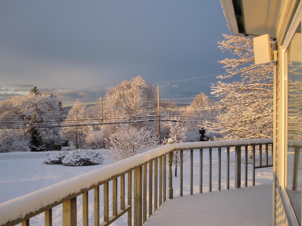 Basinview Motel Smiths Cove Екстериор снимка