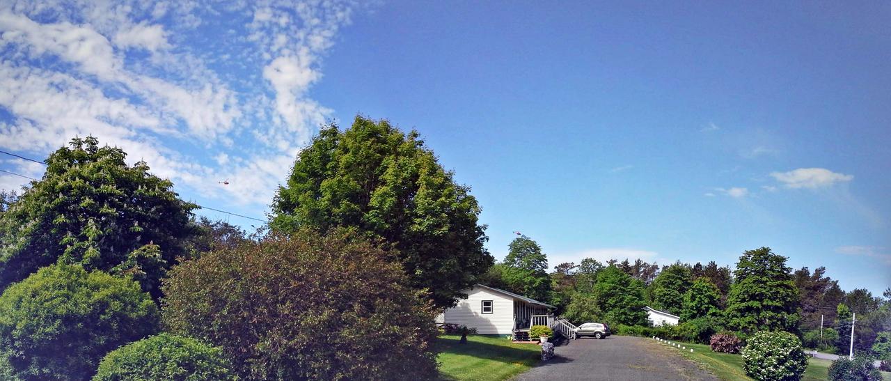 Basinview Motel Smiths Cove Екстериор снимка