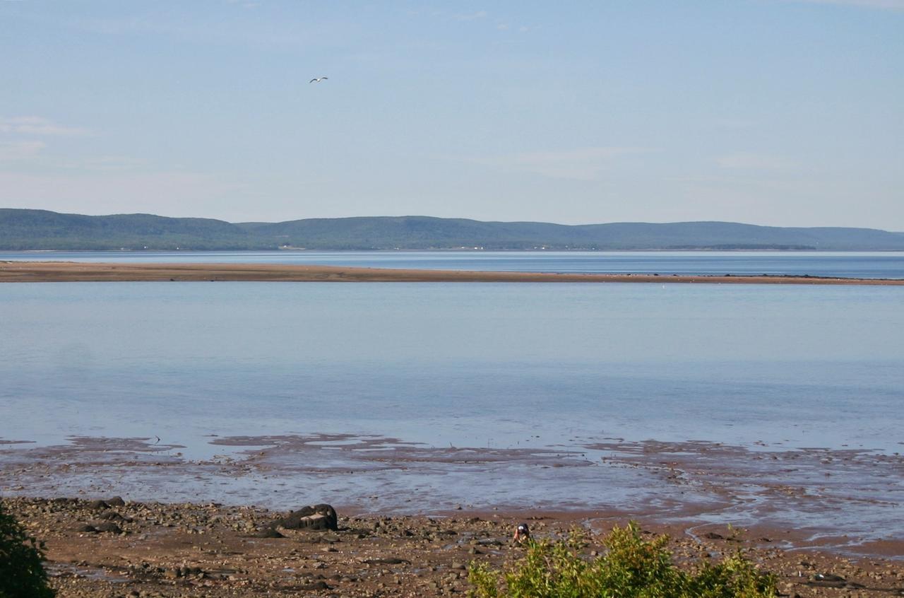 Basinview Motel Smiths Cove Екстериор снимка