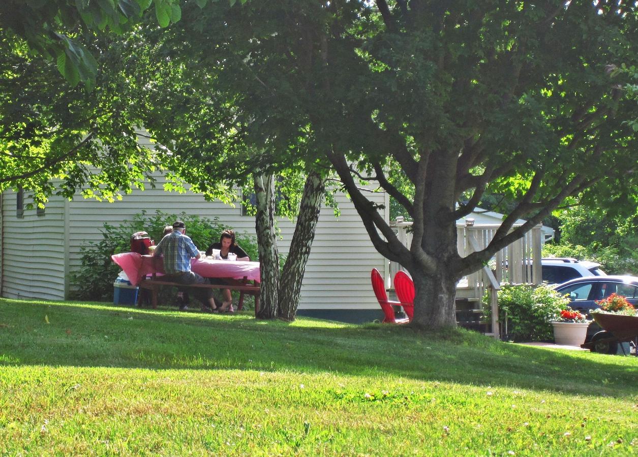 Basinview Motel Smiths Cove Екстериор снимка