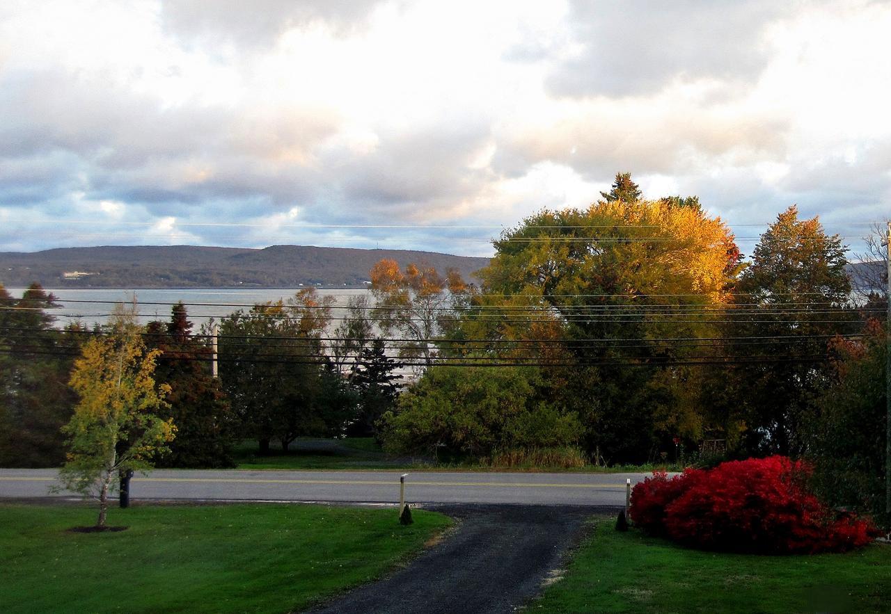 Basinview Motel Smiths Cove Екстериор снимка